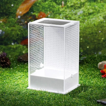 S Terrarium Élevage Vertical | Insecte Arachnide Petit Reptile