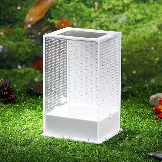 S Terrarium Élevage Vertical | Insecte Arachnide Petit Reptile