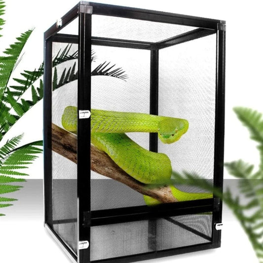 Terrarium Insectes Vertical | Insectes, Phasmes, Petit Reptiles