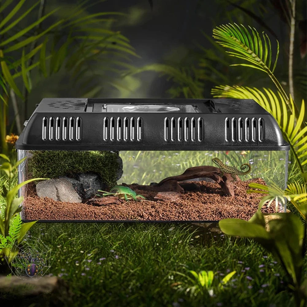 Terrarium LED Compact | Pour Reptiles, Insectes, Tortues