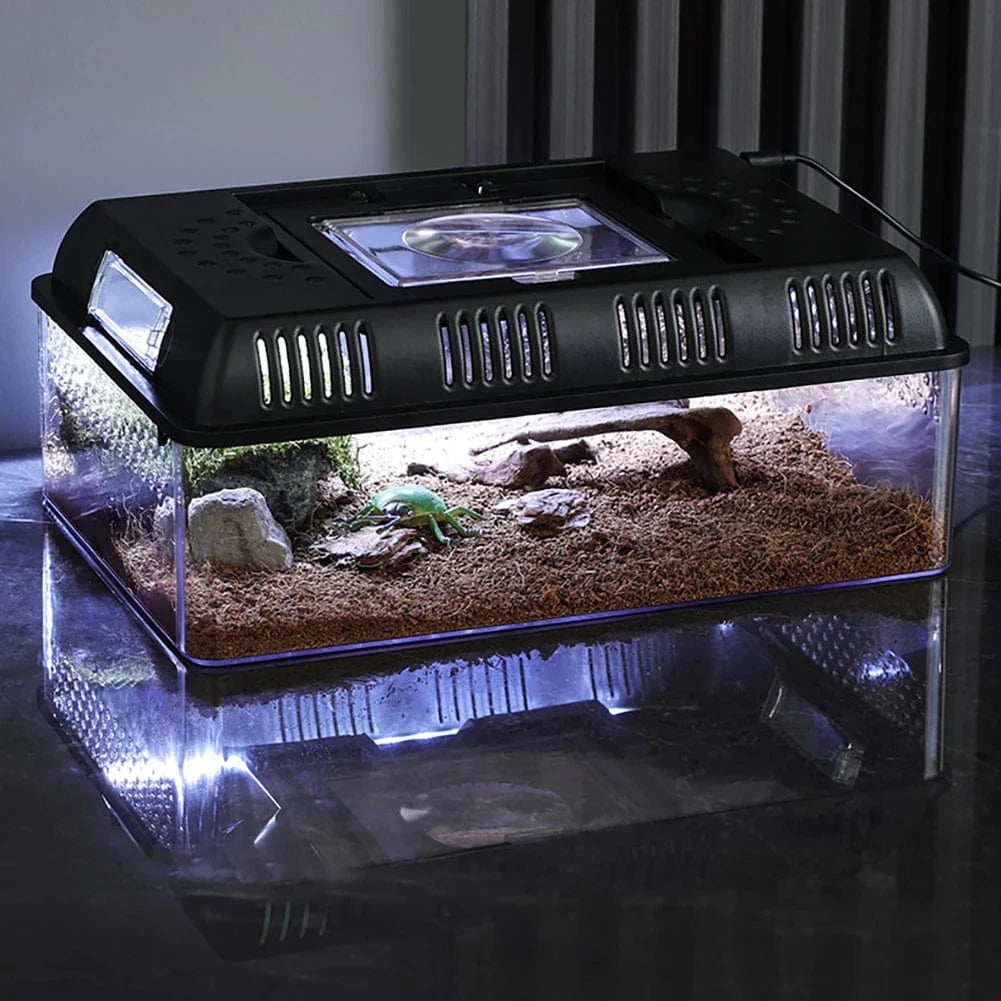 Terrarium LED Compact | Pour Reptiles, Insectes, Tortues