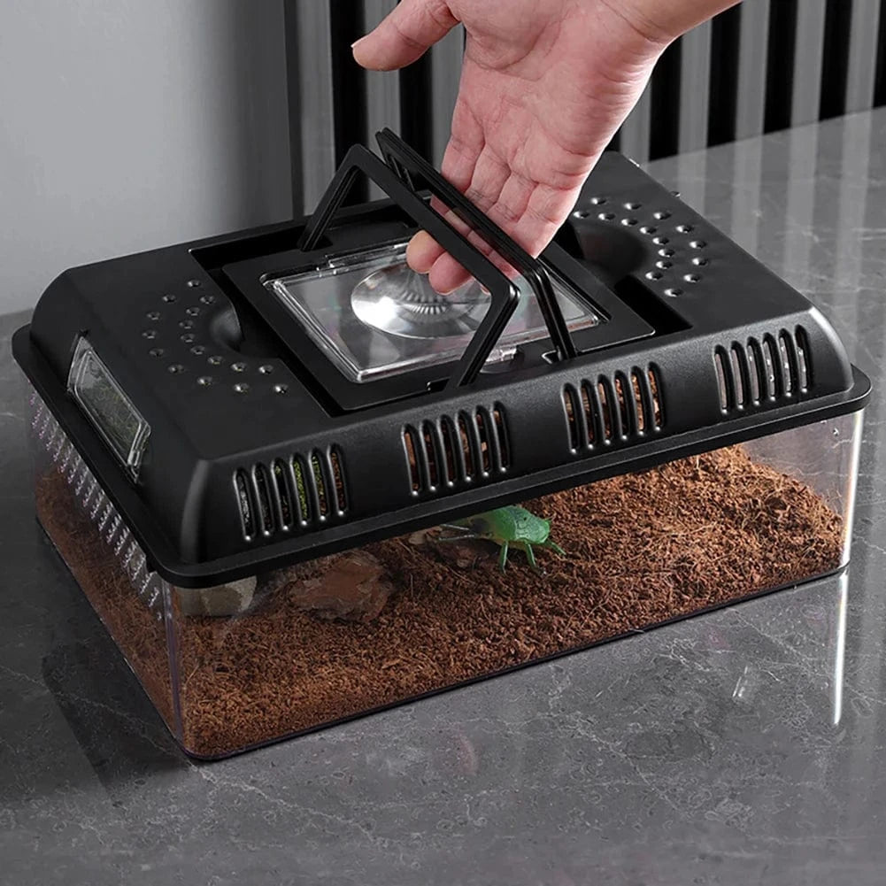 Terrarium LED Compact | Pour Reptiles, Insectes, Tortues