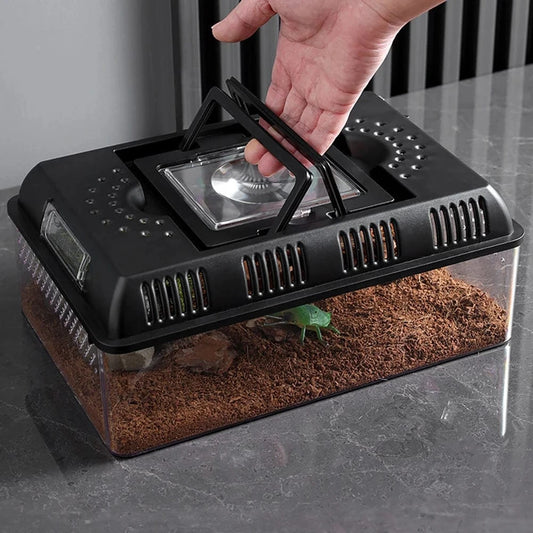 Terrarium LED Compact | Pour Reptiles, Insectes, Tortues