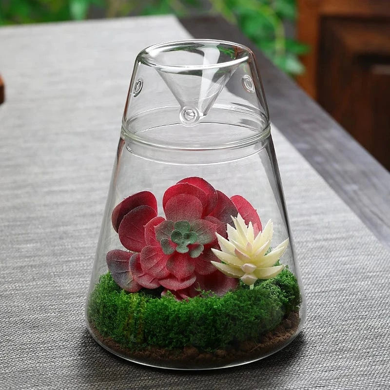 Terrarium Plante | Bocal Transparent Design