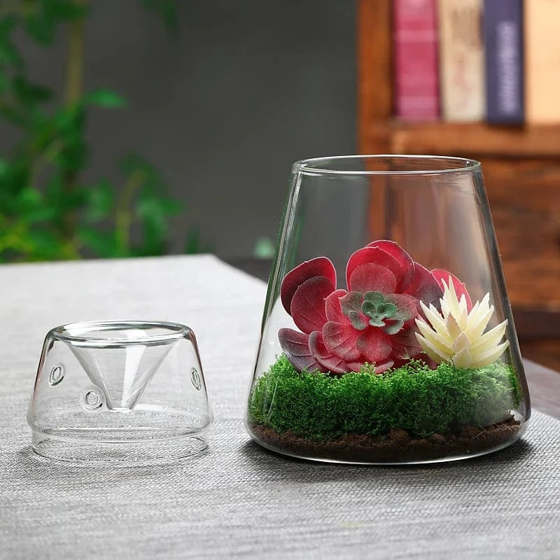 Terrarium Plante | Bocal Transparent Design