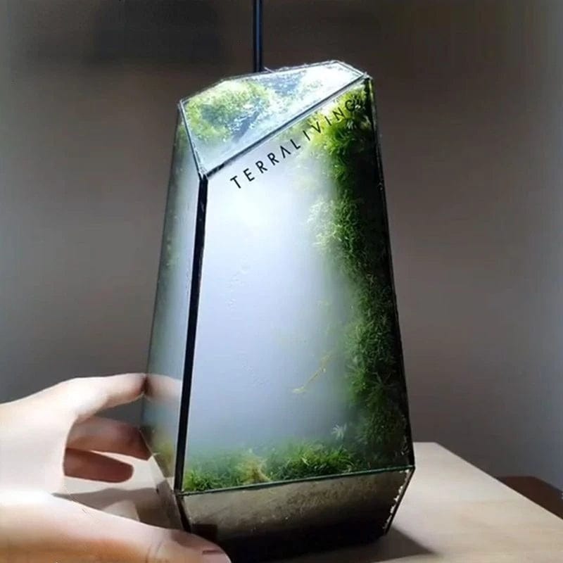 Terrarium Plante | Fermé Design Angulaire pour Micro-Jardin