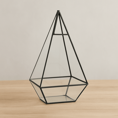 Terrarium Plante | Forme Géométrique Moderne