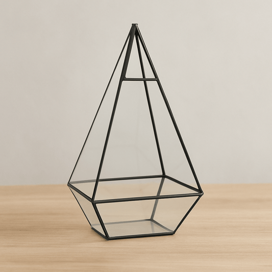 Terrarium Plante | Forme Géométrique Moderne