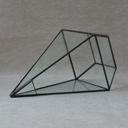 Terrarium Plante | Forme Géométrique Moderne