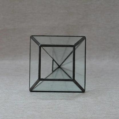 Terrarium Plante | Forme Géométrique Moderne