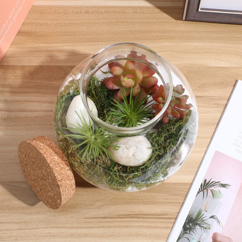 Terrarium Plante | Jarre en Verre Transparent Design