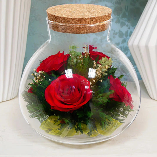 Terrarium Plante | Jarre en Verre Transparent Design
