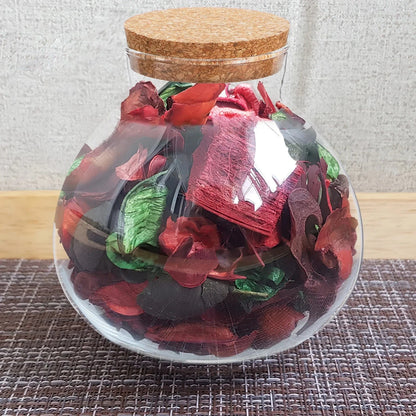 Terrarium Plante | Jarre en Verre Transparent Design