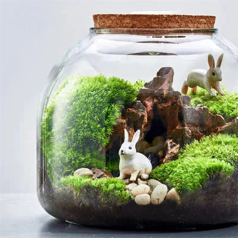 Terrarium Plante | Style Nature & Déco