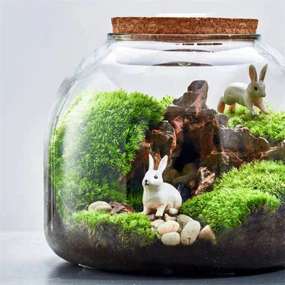 Terrarium Plante | Style Nature & Déco