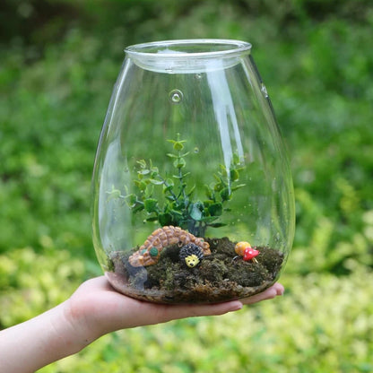 Terrarium Plante | Vase Déco en Verre avec Couvercle