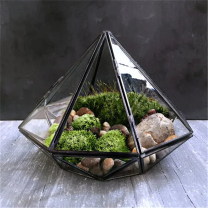 Terrarium Plante | Verrerie Géométrique Design