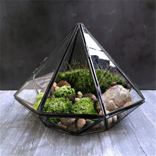 Terrarium Plante | Verrerie Géométrique Design