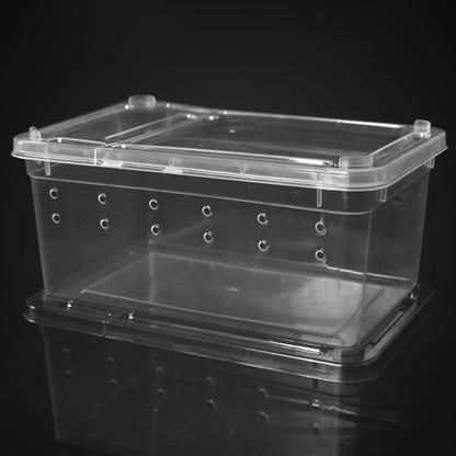 Terrarium Plastique | Pour Insectes, Reptiles et Amphibiens