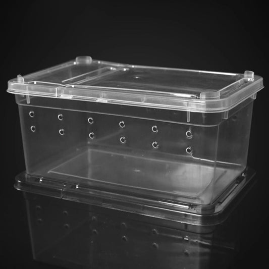 Terrarium Plastique | Pour Insectes, Reptiles et Amphibiens