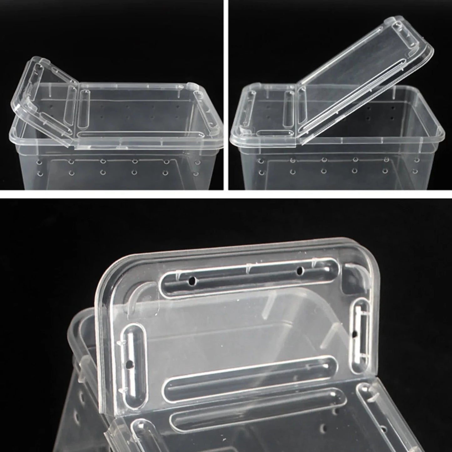 Terrarium Plastique | Pour Insectes, Reptiles et Amphibiens