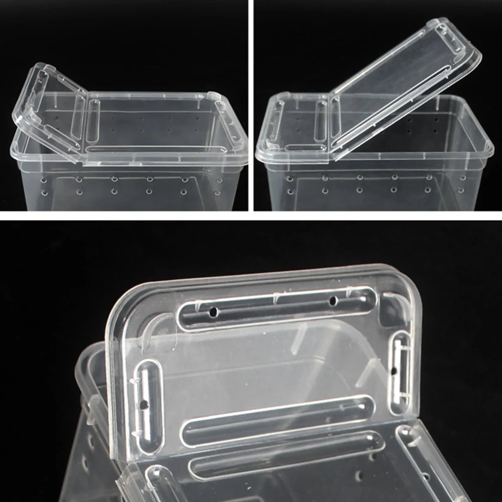 Terrarium Plastique | Pour Insectes, Reptiles et Amphibiens