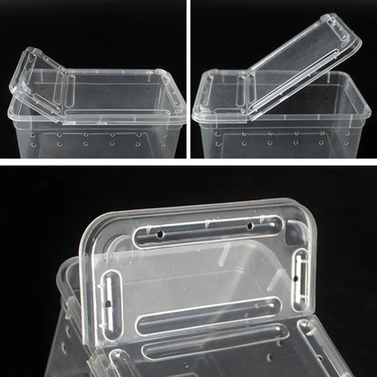 Terrarium Plastique | Pour Insectes, Reptiles et Amphibiens