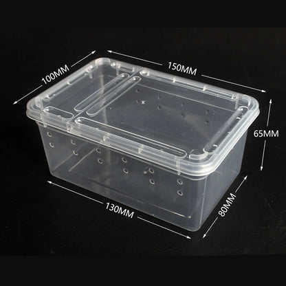 15x10cm Terrarium Plastique | Pour Insectes, Reptiles et Amphibiens