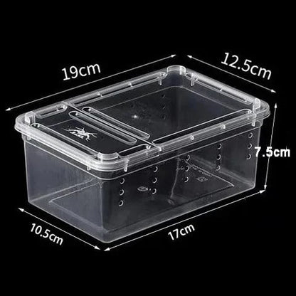 19x12.5cm Terrarium Plastique | Pour Insectes, Reptiles et Amphibiens