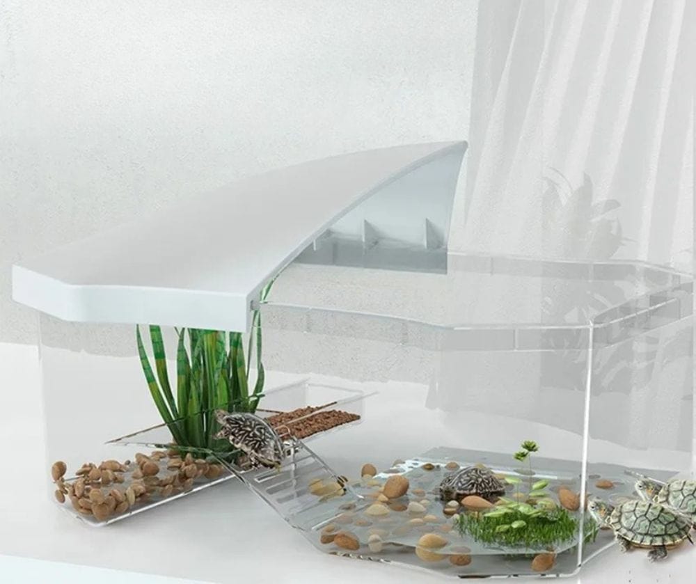 Terrarium Tortue | Enclos Blanc avec Zone de Repos
